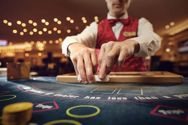 Beginner’s Guide to Understanding Casino Crypto Gaming